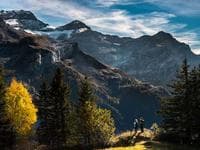 Логотип EcoFoods